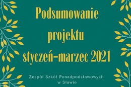 Hasło: podsumowanie projektu styczeń - marzec 2021